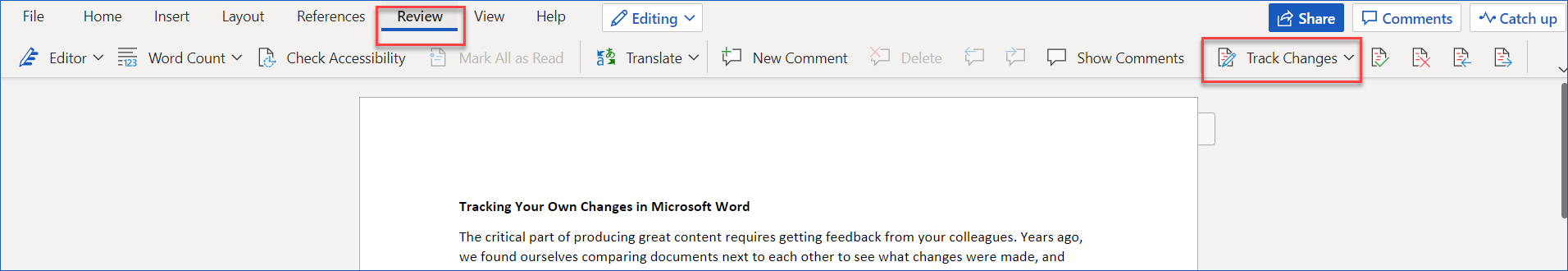 Tracking Changes in Microsoft Word