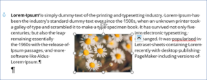Text Wrap Images in Word