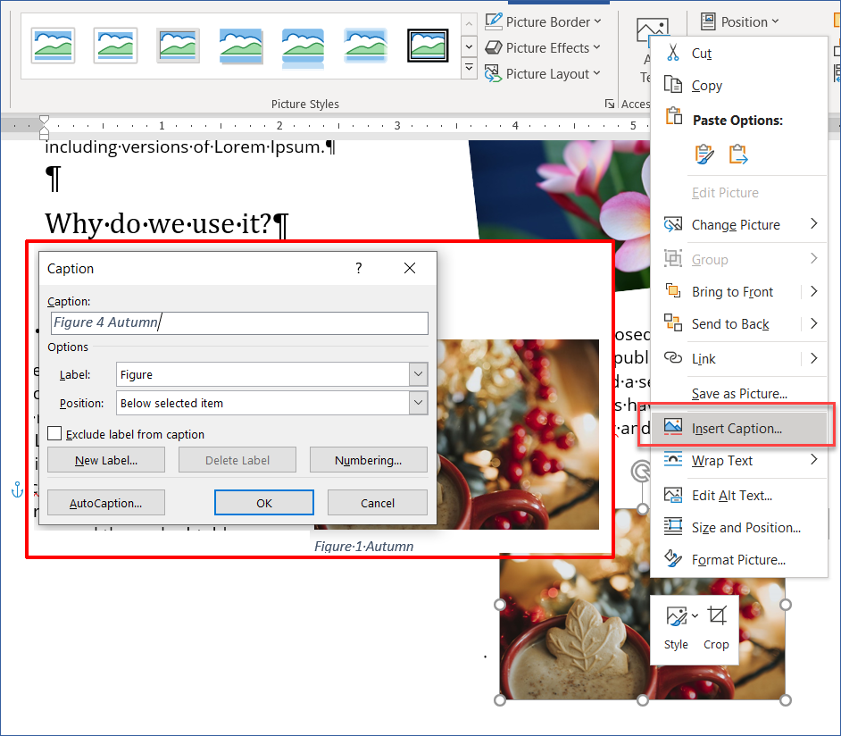 how to add a caption to photos in word